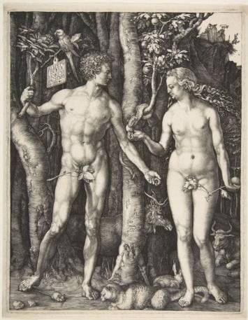 뒤러가 성경을 모티브로 그린 '아담과 이브'(1507). 가로 20cm, 세로 25cm의 이 그림은 사실 종이에 직접 그린 게 아니라 판으로 찍어낸 것이다. 금속판에 날카로운 핀으로 그림을 그린 후 산으로 부식시켜 판으로 만드는 인그레이빙 방식으로 판을 만들었다. 미국 메트로폴리탄 박물관 소장