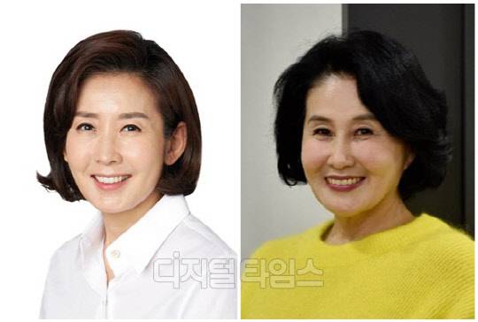 나경원(왼쪽) 전 국회의원과 전여옥 전 의원. <디지털타임스 DB, 전여옥 SNS>