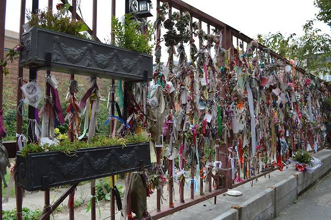 크로스본지 묘지에 시민들이 추모 리본을 달아놓은 모습.