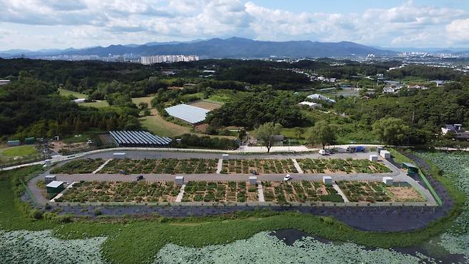 경산시 도시농업 공영농장 전경 [경산시 제공.재판매 및 DB 금지]