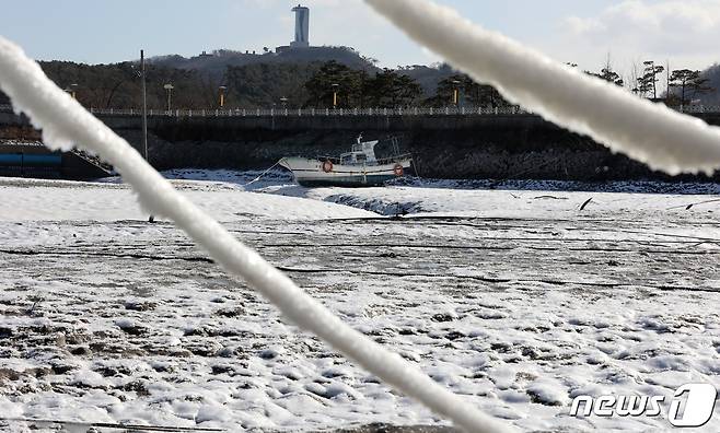 전국에 한파특보가 발령된 24일 인천 중구 예단포선착장에 얼음이 얼어 있다. 2023.1.24/뉴스1 ⓒ News1 조태형 기자