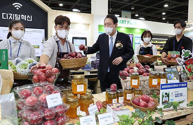 윤석열 대통령이 지난해 8월 24일 서울 서초구 aT센터에서 열린 2022 창농·귀농 고향사랑 박람회를 방문, 청년농부가 생산한 백향과를 살펴보고 있다.(사진=저작권자(c) 연합뉴스, 무단 전재-재배포 금지)