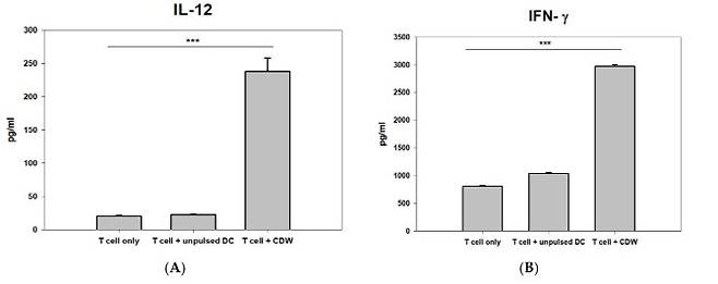 *T세포에서의 사이토카인 IL-12와 IFN-γ의 수치 비교 결과. (자료=파미셀)