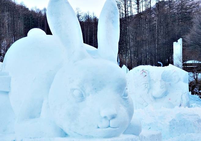 태백산 눈축제에 설치된 40m 초대형 토끼 눈조각. 연합뉴스