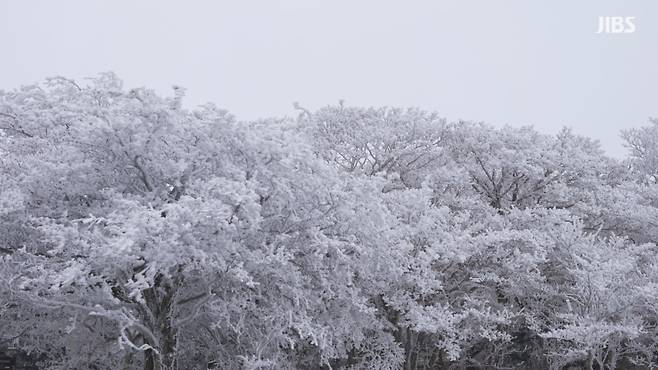 폭설이 내린 겨울 한라산