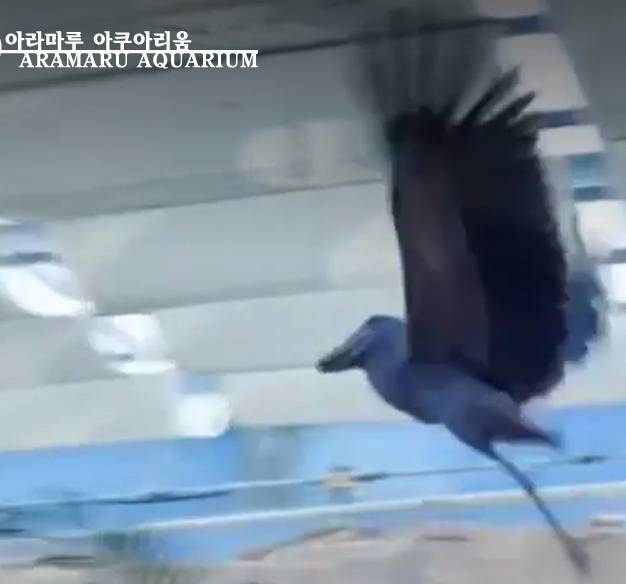 /사진= 경남 사천 아라마루 아쿠아리움