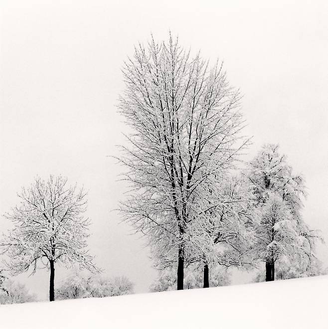 Snowy Trees, Bath, Avon, England. 1987ⓒ Michael Kenna [공근혜갤러리 제공]