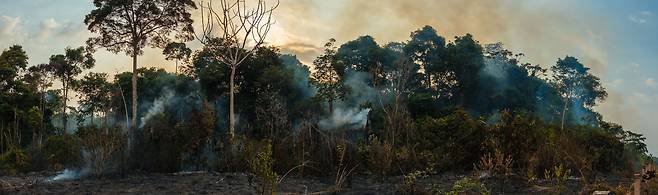 2015년 브라질 아마존이 불타는 모습을 찍은 파노라마 사진./Adam Ronan/Rede Amazônia Sustentável