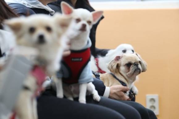 참고사진으로 기사와 상관없음. [사진=아이뉴스24DB]