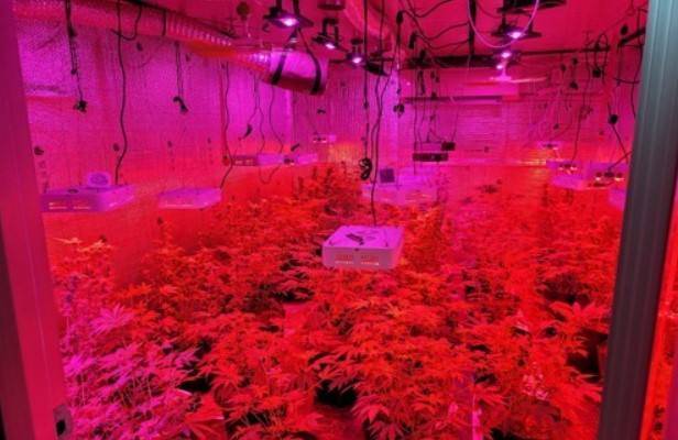 경찰이 적발한 마약재배시설. 사진=경찰청