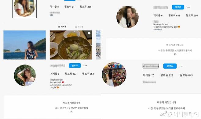 30일 오후 인스타그램에서 몸캠피싱범으로 지목된 계정들. /사진=몸캠피싱 피해자 모임 카페