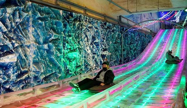 사진제공=수목원테마파크