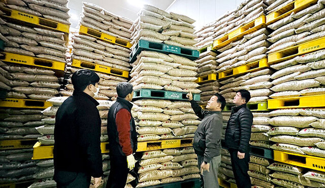 경기 북파주농협 임직원이 농협 장단콩유통종합처리장에 쌓인 ‘파주 장단콩’을 살펴보고 있다.
