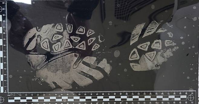 서울경찰청 과학수사대 이선열 경위가 자신의 족흔적을 전사판을 통해 채취한 모습./이선열 경위 제공