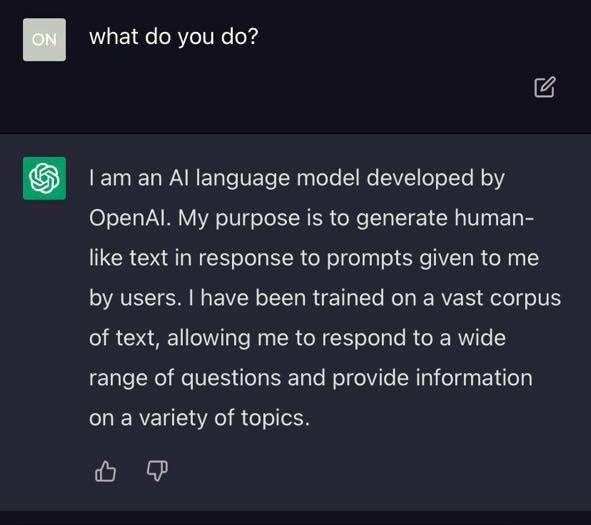 ▲영어로 챗GPT가 무슨 일을 하는지 묻자 이런 답변을 내놓았다. ⓒ프레시안(전홍기혜)