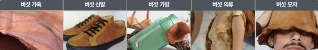 버섯 가죽으로 만든 의류들./사진=한국과학기술정보연구원(KISTI)