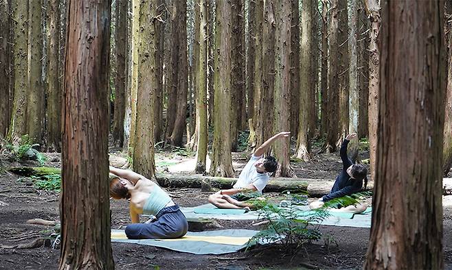 2022 제주 워케이션 프로그램 참가자들이 숲속 요가 체험을 하고 있다. 제주관광공사 제공
