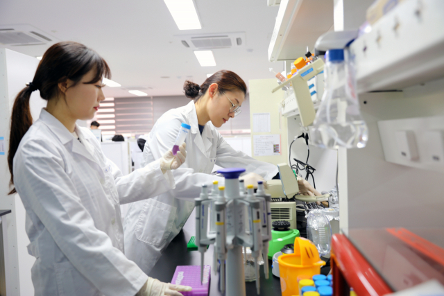 HLB 연구원들이 경기도 동탄의 연구실에서 약물 연구를 하고 있다. 사진제공=HLB