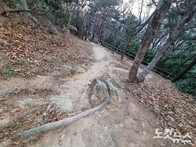 부산 민안초등학교 학생들이 통학할 때 이용하는 등산로에 바위가 박혀 있다. 박진홍 기자