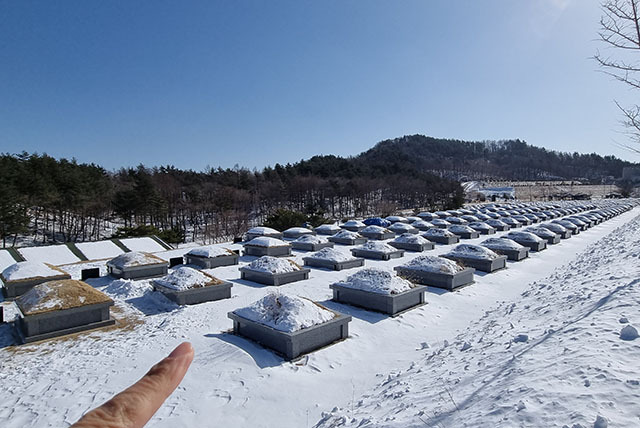 ▲태백공원묘원 봉안묘역. 2023년은 윤달로 인해 오는 3월부터 묘지개장이 급증할 것으로 전망되고 있다. ⓒ프레시안