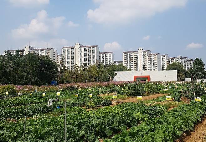 부천 상동의 문화동산텃밭.|부천시 제공