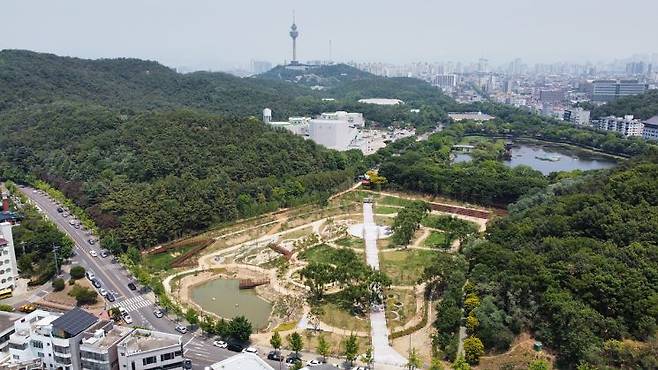 두류공원 대구대표도시숲.