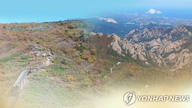 강원도 산 (CG) [연합뉴스TV 제공]