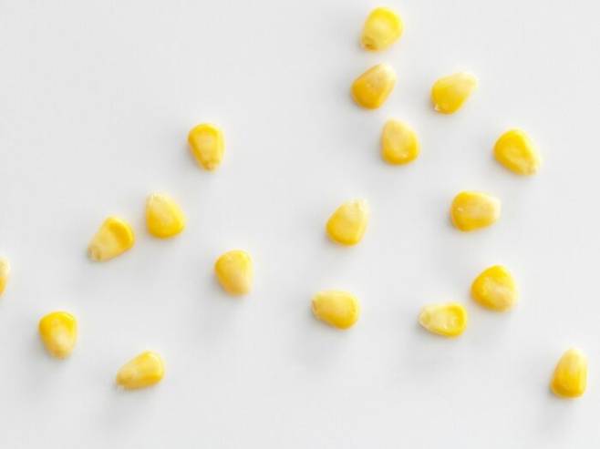 [사진=클립아트코리아]