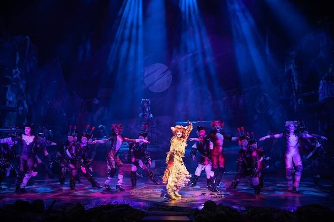 뮤지컬 <캣츠> 공연 장면. 에스앤코 제공