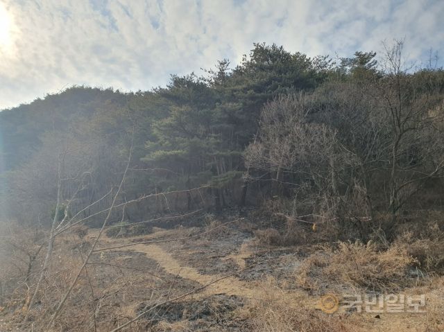 지난 1일 경북 울진에서 난 산불의 발화지점 모습. 울진군 제공