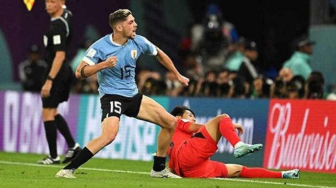 지난해 11월 카타르 알라이얀의 에듀케이션 시티 스타디움에서 열린 2022 카타르 월드컵 조별리그 H조 1차전 대한민국과 우루과이 경기. 우루과이 발베르데가 이강인에게 거친 태클을 한 뒤, '어퍼컷 포효'를 하는 모습. (사진=APF, 연합뉴스)