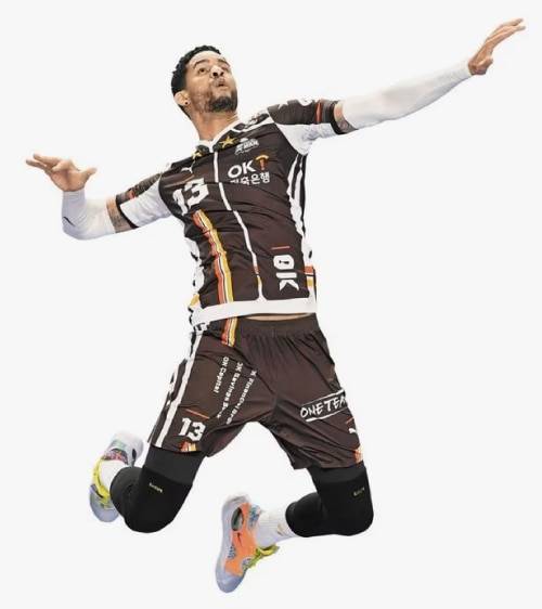 올시즌 5차례 트리플크라운을 달성한 레오(OK금융그룹). /한국배구연맹