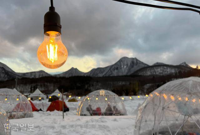 나리분지의 이글루 모양 쉼터에서 야영객들이 낭만적인 저녁 시간을 보내고 있다. 이글루 쉼터는 '울라 윈터피크닉'이 열리는 2월 내내 무료로 운영한다.