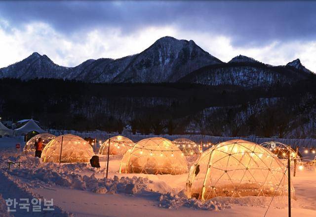 나리분지의 이글루 쉼터 알전구가 낭만적인 분위기를 연출하고 있다.