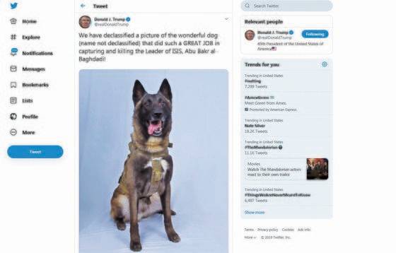 도널드 트럼프 전 대통령이 군견 코넌을 치하하는 트윗 메시지.