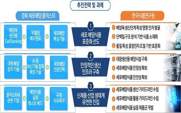 세포배양산업 추진전략 및 과제(경북도 제공) 2023.06.07.