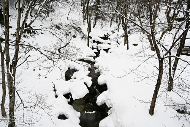 계곡을 흐르는 물이 눈을 녹이고 흐르고 있다.