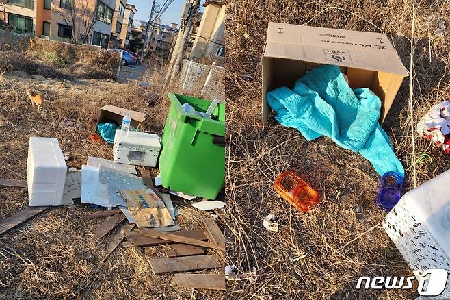 새끼 러시안블루 두 마리가 유기된 장소. CCTV 사각지대라 누가 버렸는지 확인할 수 없다. (독자 A씨 제공)