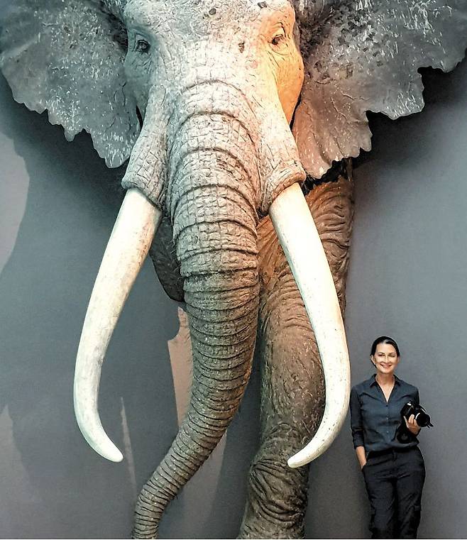 네안데르탈인이 거대 코끼리를 도축했다는 논문을 발표한 독일 요하네스 구텐베르크대 연구자가 실물 크기로 복원한 곧은상아코끼리 모형 옆에 서 있다. /유럽고고학회·루츠 킨들러