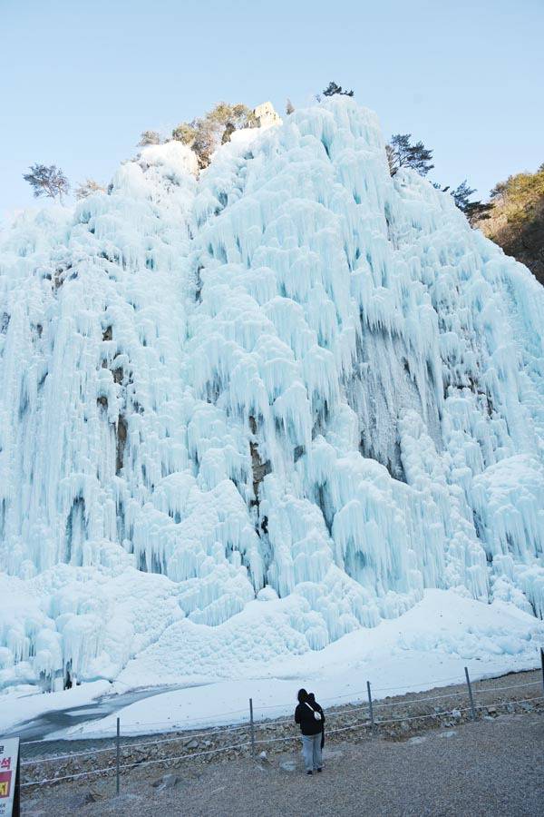 청송 얼음골의 62ｍ 원자바위에서 떨어지는 인공폭포가 한겨울에는 거대한 얼음기둥으로 바뀐다. 그 모습이 백상아리의 아가리를 보는 듯 섬뜩하다.