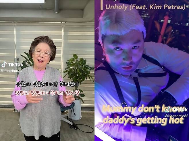▲ 스튜디오 유니코가 만든 나문희(왼쪽), 황제성 틱톡. 출처| 나문희, 황제성 틱톡