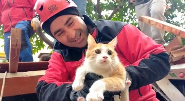 7일(현지시간) 튀르키예 하타이주에서 구조대원이 건물 잔해에서 구조된 고양이를 안고 있다. /사진=로이터