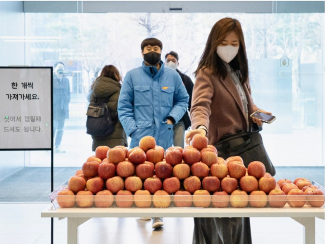 현대카드 직원들이 애플 페이 서비스를 자축하기 위해 마련한 사과를 가져가고 있다. [사진, 현대카드]