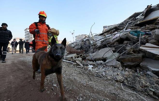 9일 오전(현지시간) 튀르키예 하타이 안타키아 일대에서 지진으로 인해 무너진 건물들 사이로 한국긴급구호대(KDRT) 대원과 구조견 '해태'가 구조작업을 하고 있다 [이미지출처=연합뉴스]