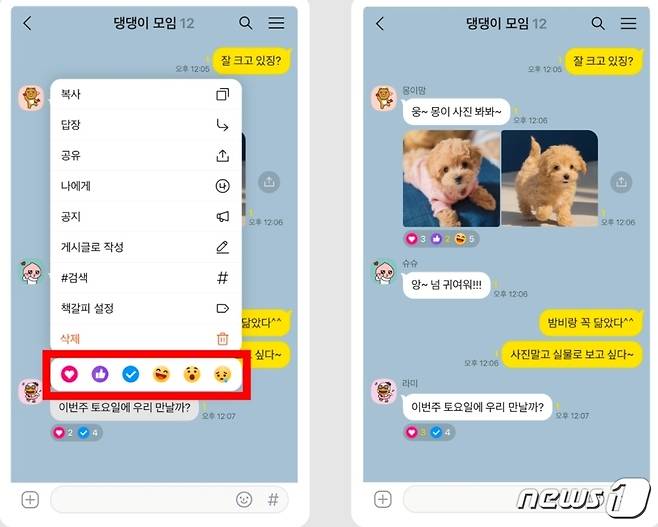 카카오톡에서 선보인 말풍선 '리액션' 기능. (카카오톡 공지사항 갈무리)