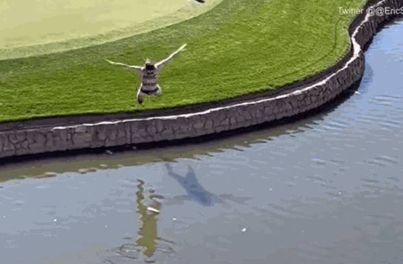 WM 피닉스 오픈에 난입한 숀 패트릭 매코널(27)이 연못으로 뛰어들고 있다./사진=데일리메일 영상 캡처