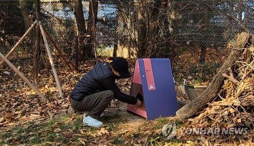 길고양이 급식소 [도봉구 제공. 재판매 및 DB 금지]