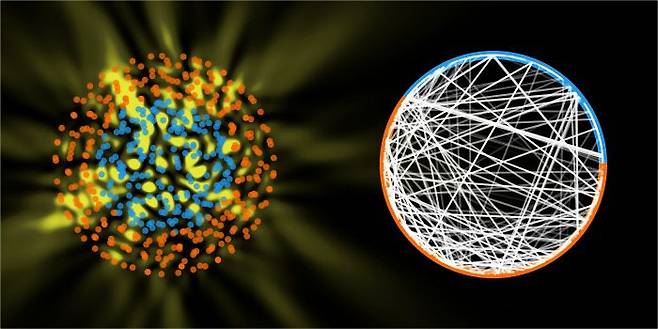 유선규 서울대 전기정보공학부 교수 연구진이 빛의 산란 패턴을 설명할 수 있는 진화 네트워크를 개발했다. 빛은 다른 입자(왼쪽, 파란색)에 부딪히면서 여러 방향으로 퍼져 나가는 산란 현상이 일어나는데, 서울대 연구진이 개발한 네트워크(오른쪽)를 활용하면 빛과 입자 사이의 상호작용을 알기 쉽게 표현할 수 있다. /서울대 공대