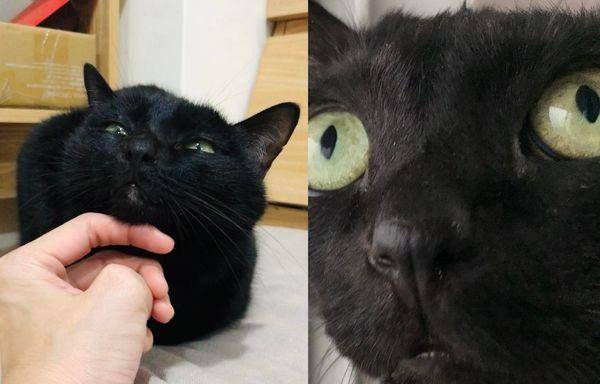 누가 봐도 난 정상이야.