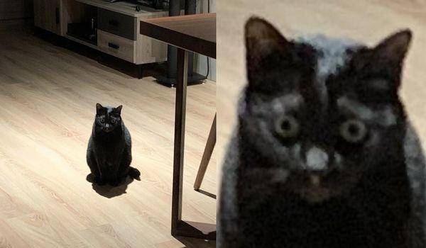 집에 오기만 해봐..